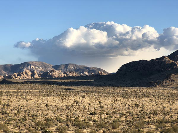 desert vista